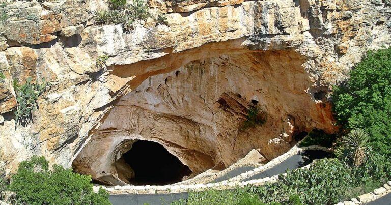 Where is Carlsbad Caverns?