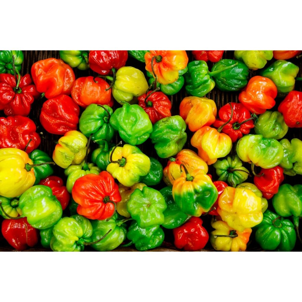 Peppers used in Mexican cuisine