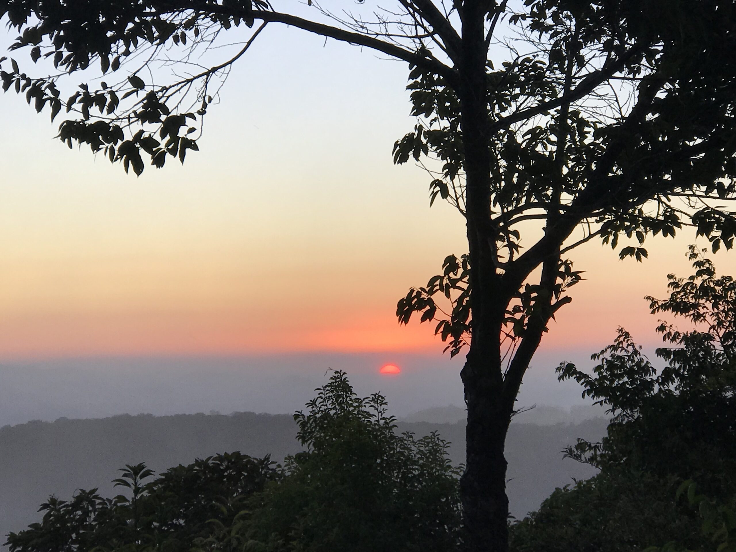 Monteverde Sunset