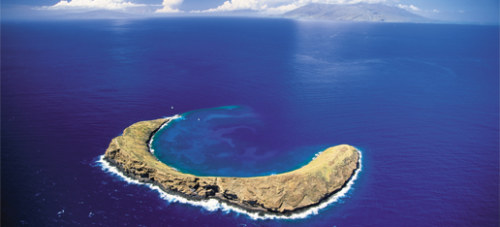 Visiting Molokini Crater is an ideal location for Maui snorkeling.
