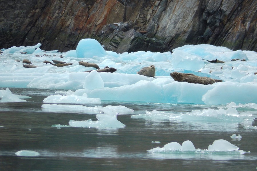 Melting glacier