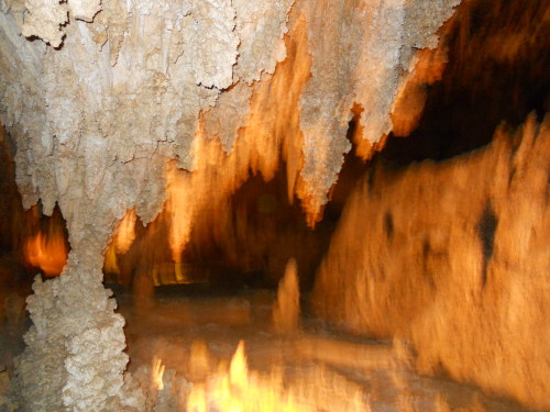 Carlsbad cavern bat caves