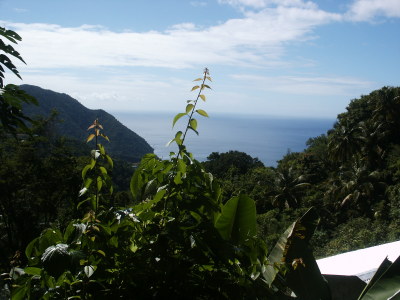 Commonwealth of Dominica View