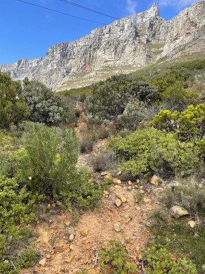 Trail to along the mountain