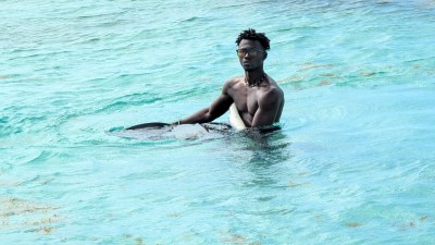 Stingray City on the island of Antigua