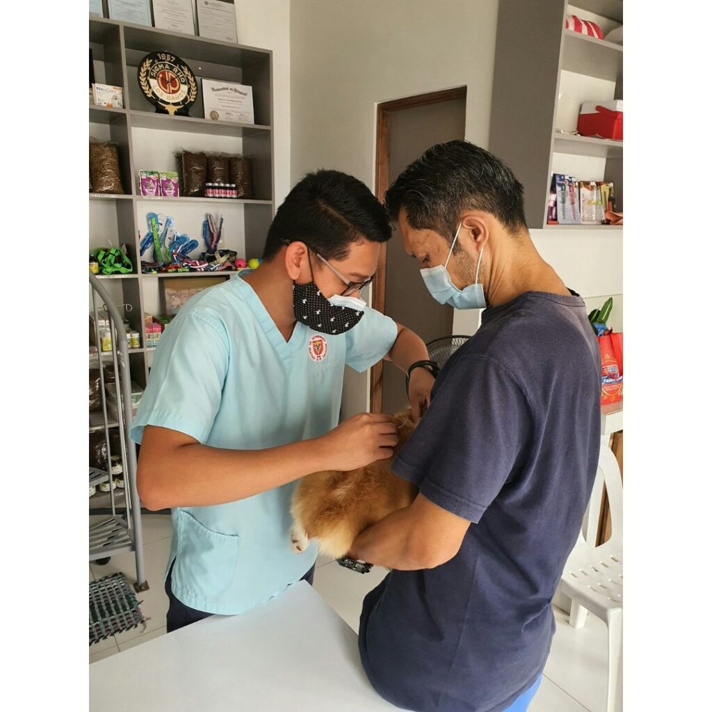 Taking pet to the vet before you travel with your pets.