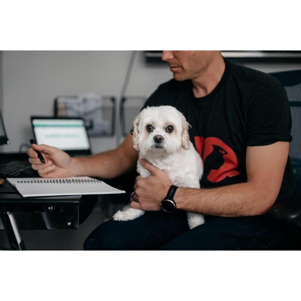 A person working with his pet on the road.