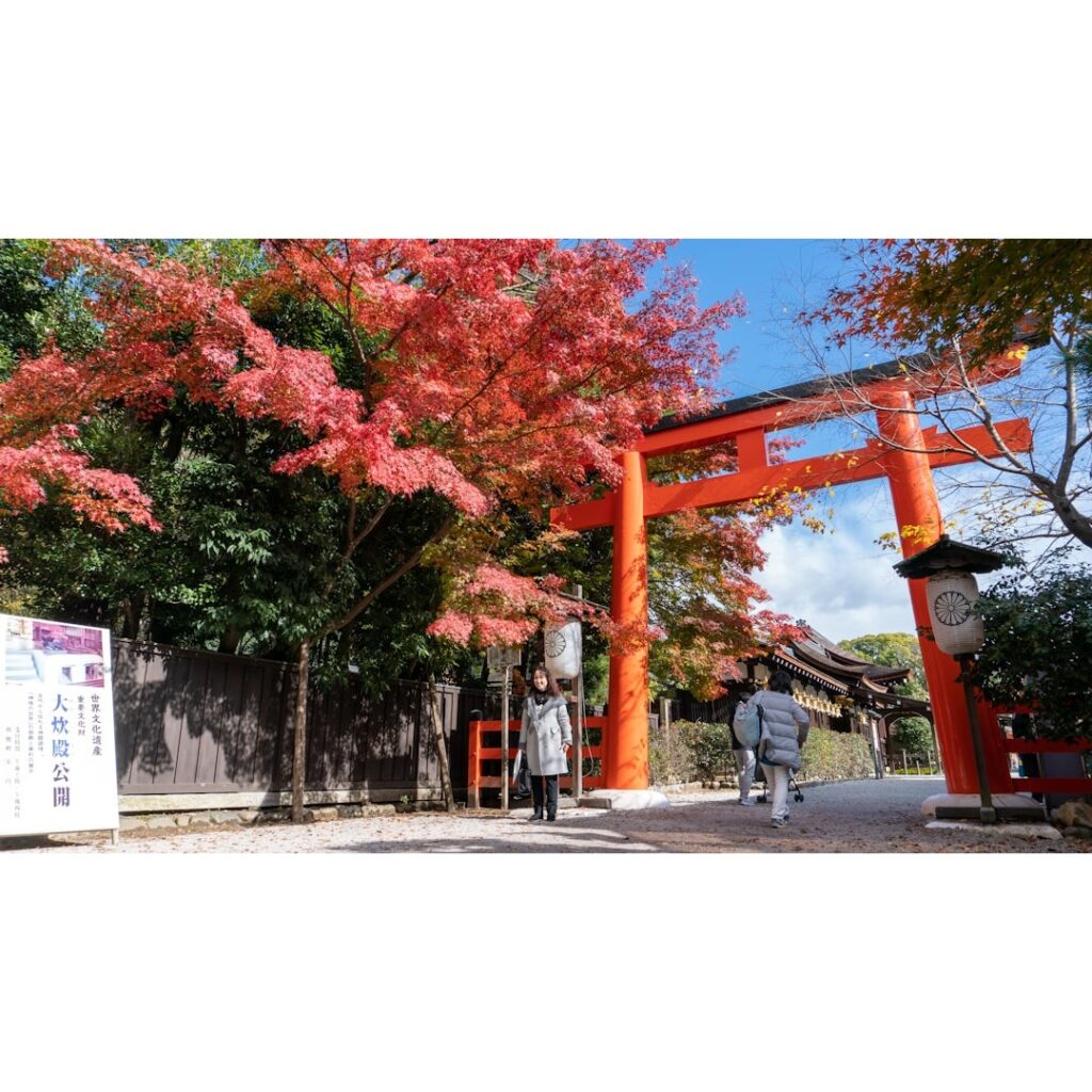 Kyoto, Japan cherry blossom.