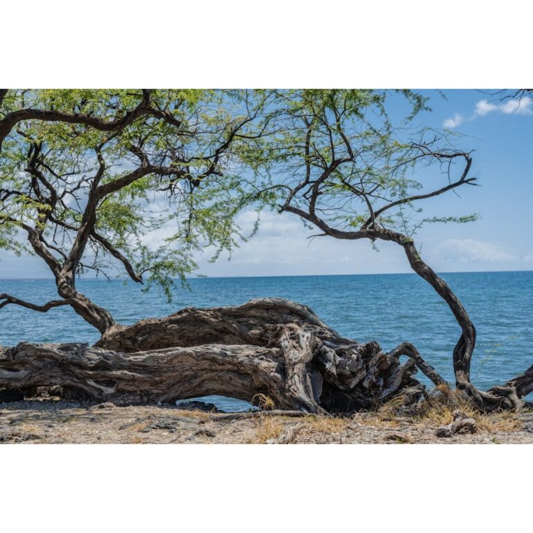 A beach is the ideal place to visit during October.