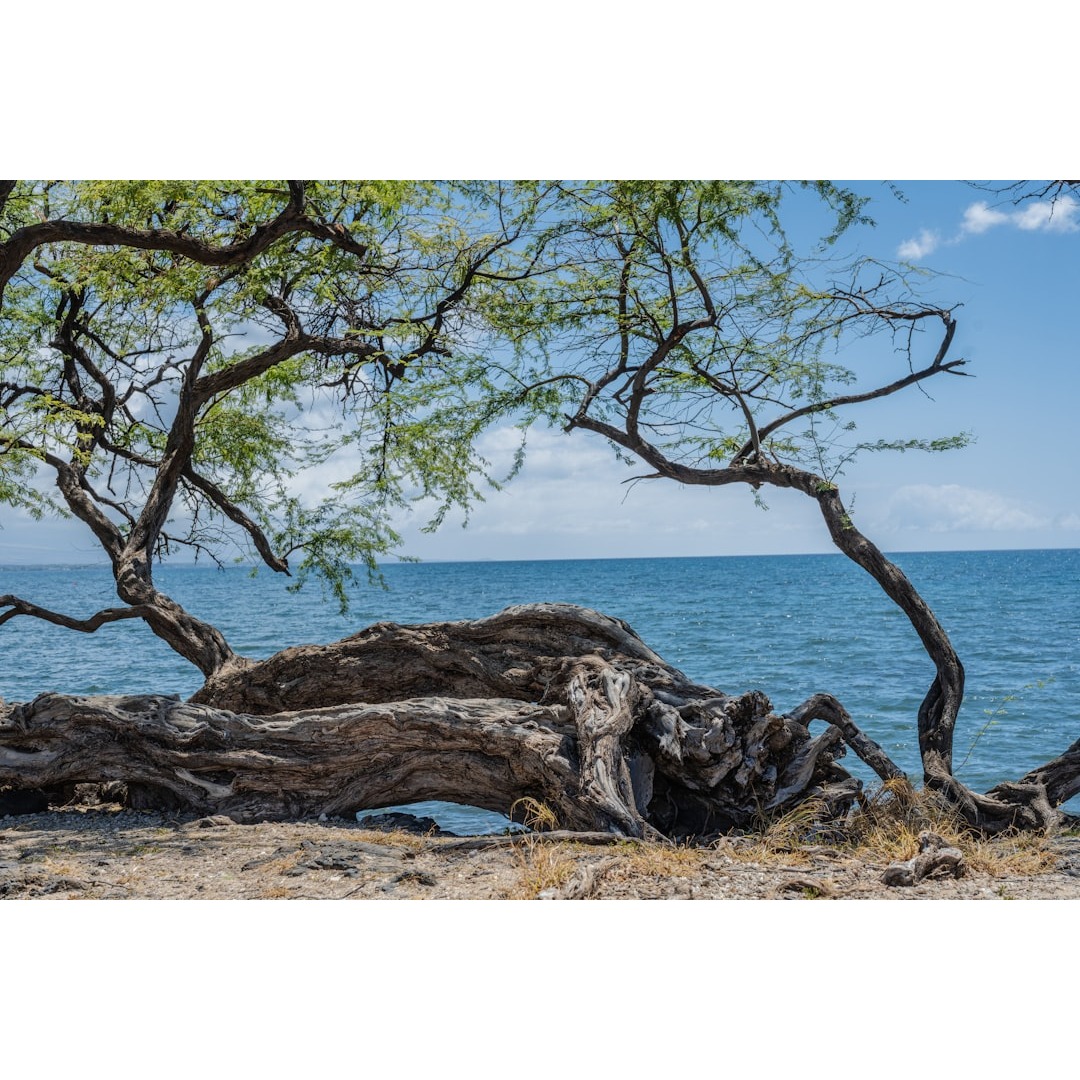 A beach is the ideal place to visit during October.
