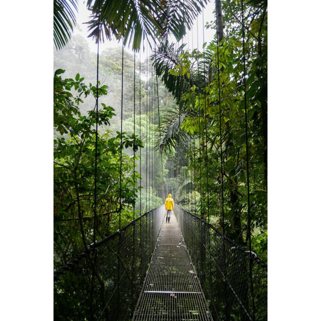 One of several hanging bridges in Costa Rica.
