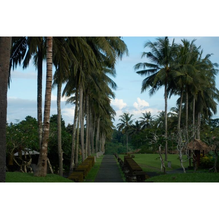 Tropical Destination for a winter getaway.