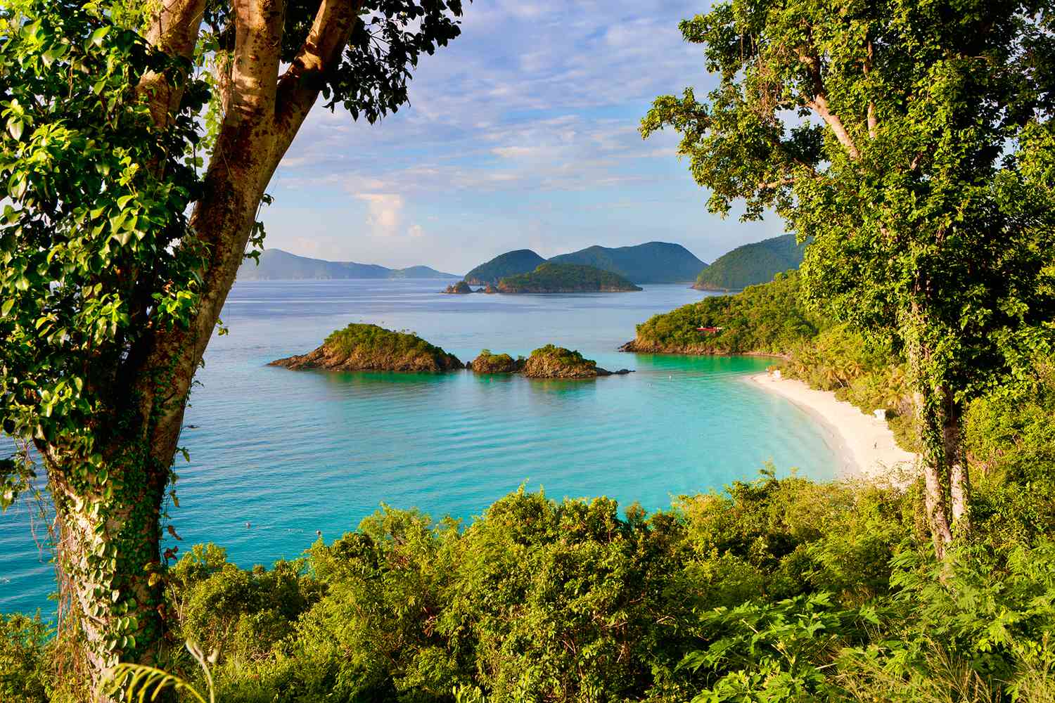 Pristine Caribbean Beach